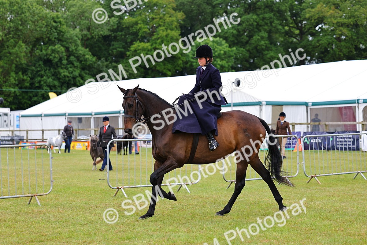 SBM_02734 - Class 9-11 Side Saddle including LIHS Rising Star Ladies Show Horse