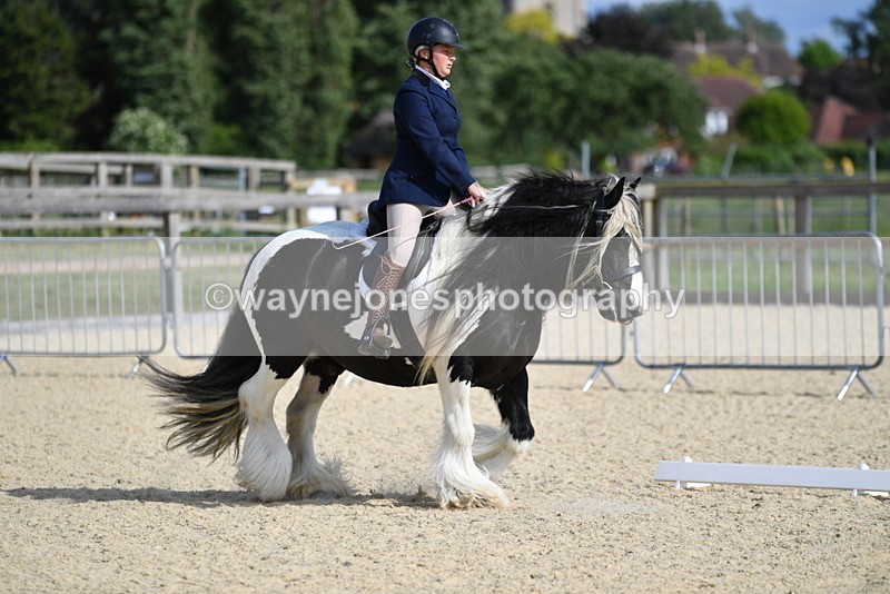 WJ5_7723 - Time 16:40 to 16:55