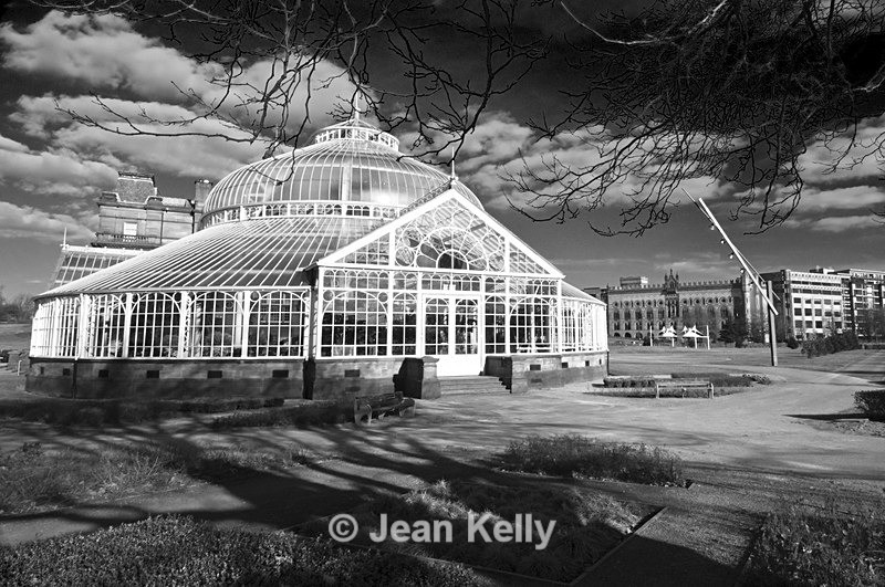 Winter Gardens, People's Palace,Glasgow - 7132 bw - Black and white