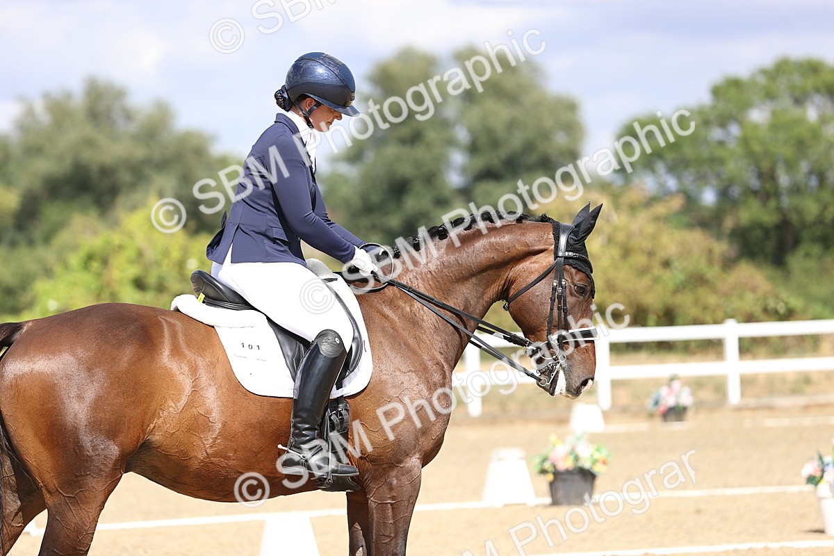 SBM_015210 - Class 5 - E5 Bronze 14.42.15.54