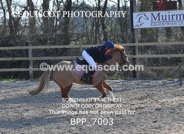 BPP_7003 - CLASS 17 SUN Stepping Stones 128/ 138cms Handicap