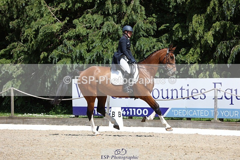 230526-141456-06483 - 372-INDYGO_BLUE-Jess_Butler-WEDTrotUp+DR