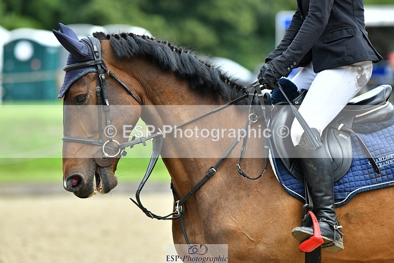 230715-093358-32265 - Cls 84 4 yr old Champ