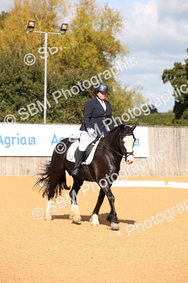 SBM_04181 - D2 Small Tour Championship Intro C
