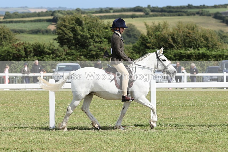 JPP_2257 - Class 19: Working Hunter 60cm