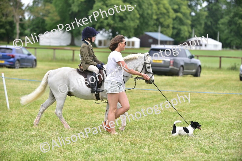 20260614-4529 - Class 19 - Cutest Pony, Rider and Dog Combination