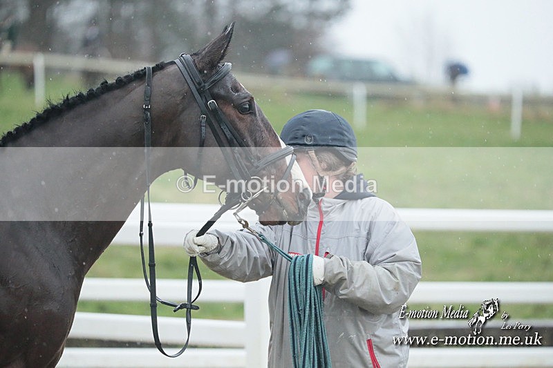 PtP 101223 159 - New Forest Hounds PtP Larkhill 10/12/23