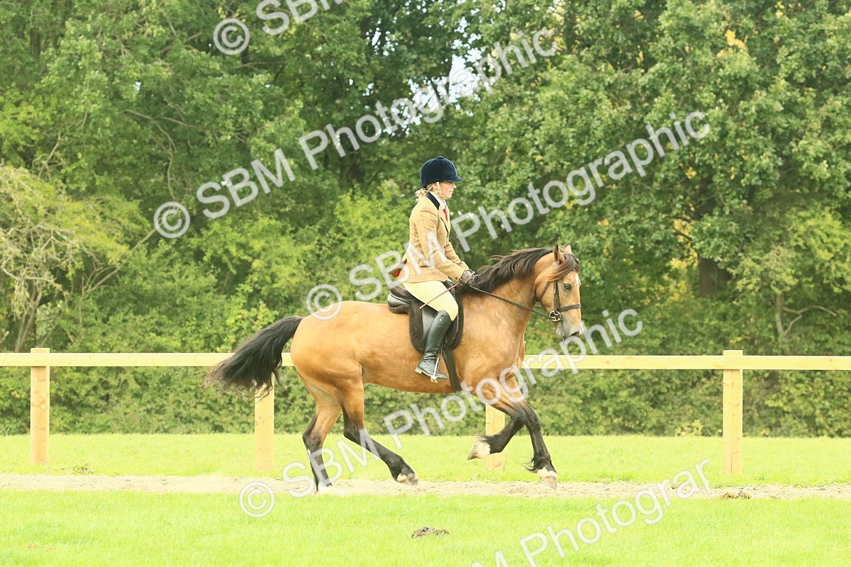 SBM_71898 - S60 - Mountain & Moorland Ridden Large Breeds