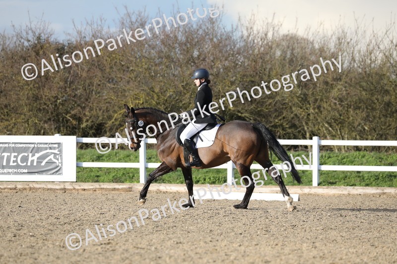 20260314-5956 - DR9 - PYO