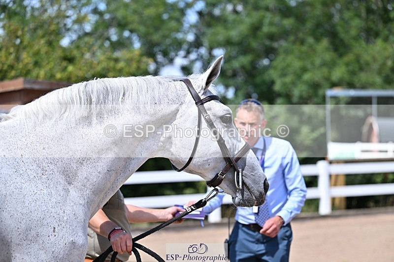 250716-122927-00010 - Trot Up 12.30 to 1.30