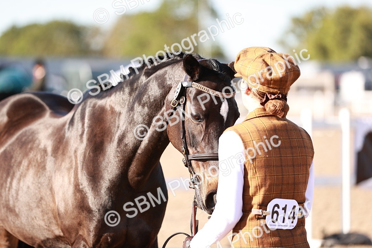 SBM_11412 - Class 402 - IH  Veteran pony