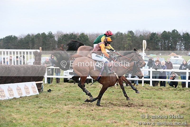 PtP 060119 491 - Larkhill Racing Club - Point-to-Point- 06/01/2019