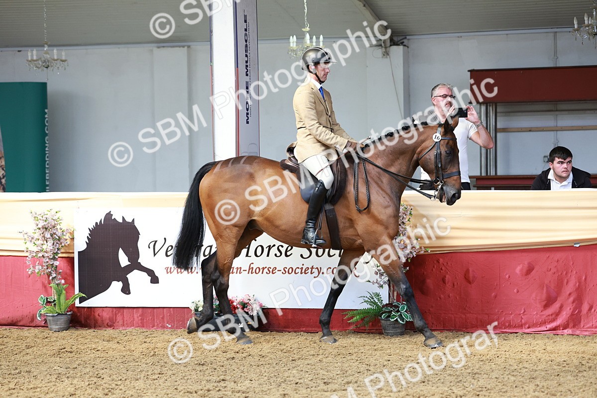 SBM_14878 - Class 108 - Ridden Retired Racehorse