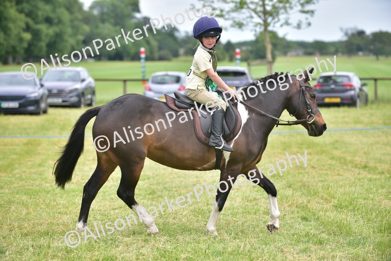 20260614-2721 - Class 13 - Pony Club Pony