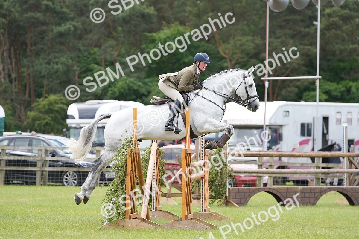 SBM_14979 - Class 100-102 - RIHS Working Hunter
