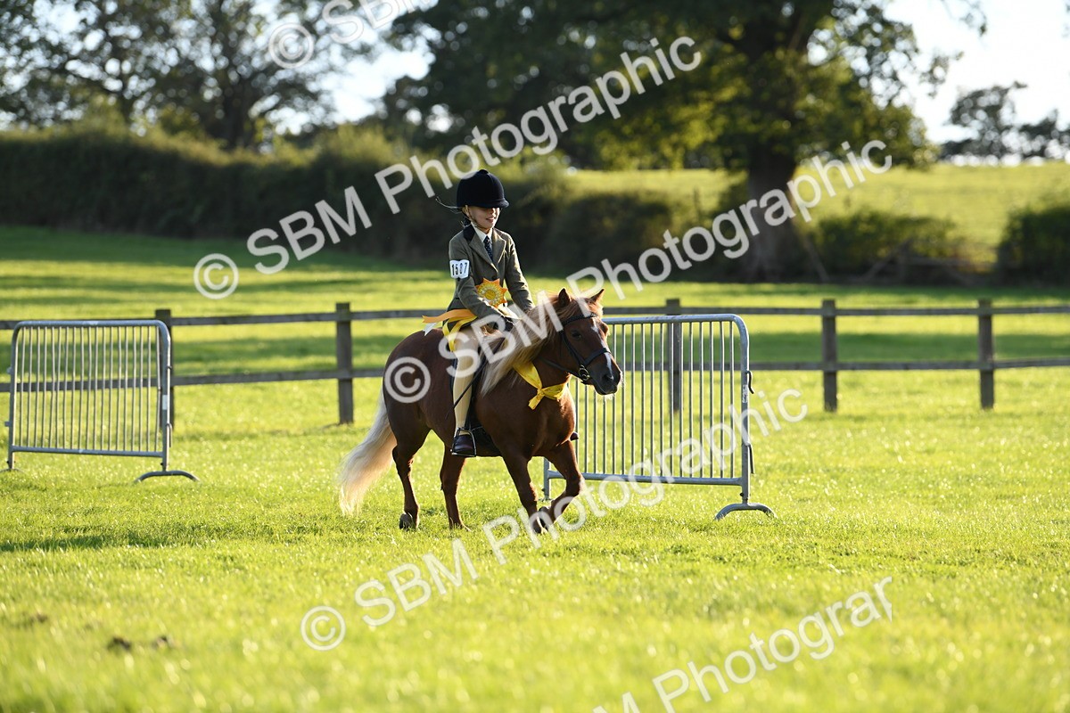 SBM_54194 - S23 - 1st Ridden Mountain & Moorland Pony