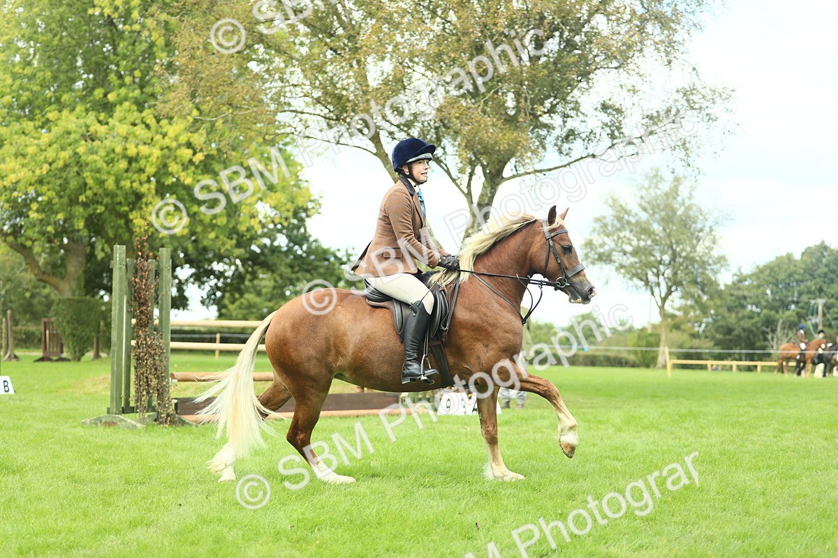SBM_42827 - S30 - M&M Working hunter Pony