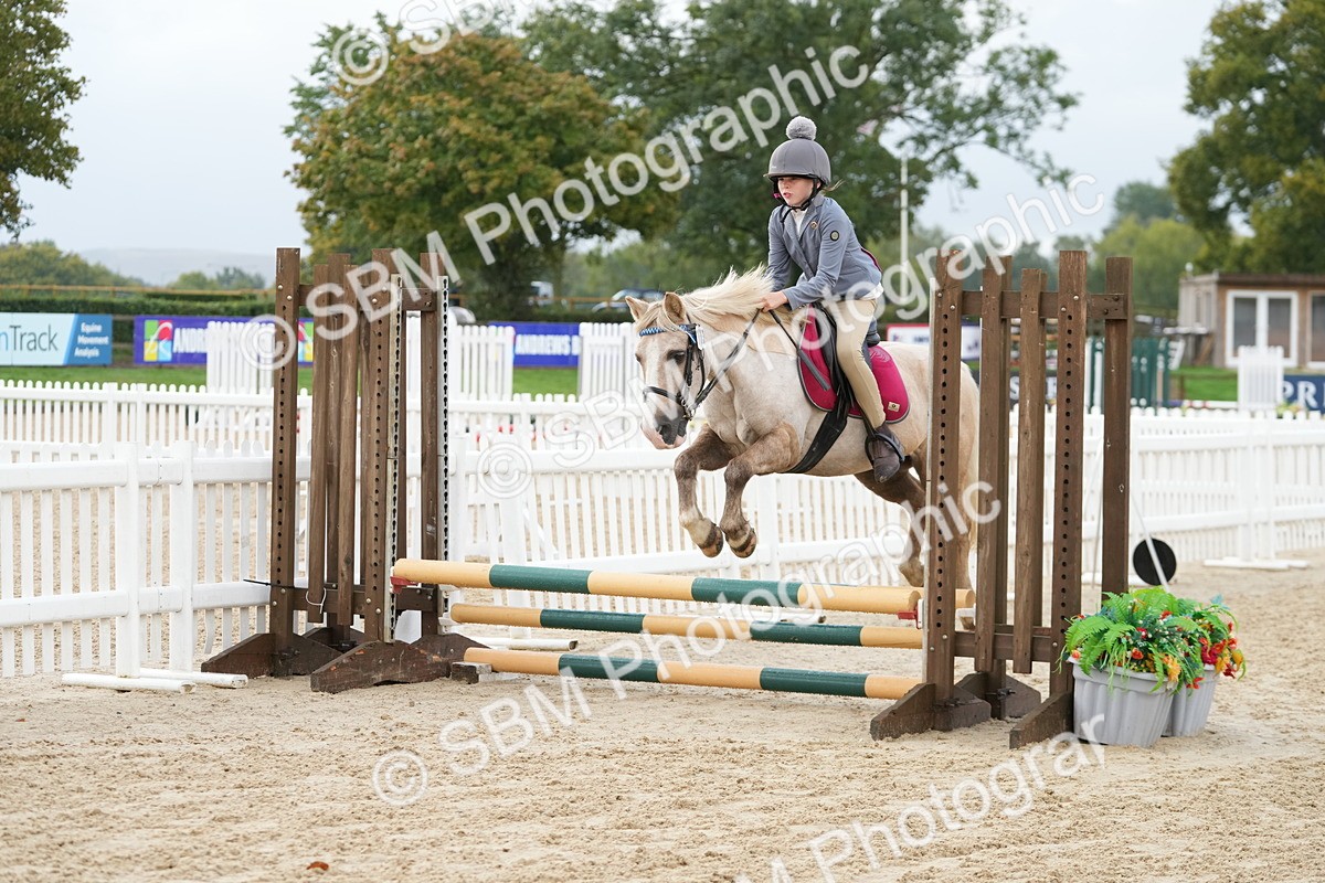 SBM_32373 - J5 - Junior Pony 50cm Championship