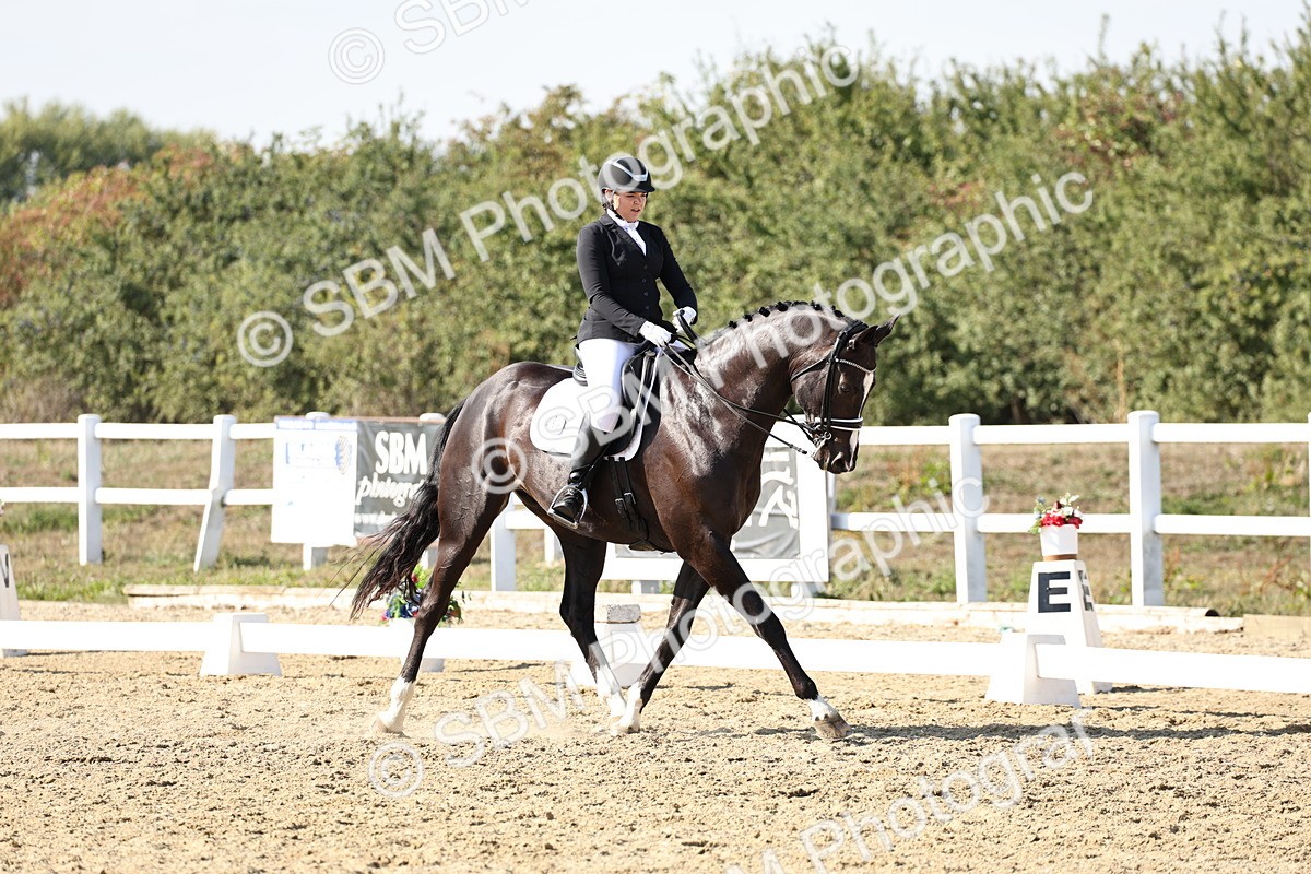 SBM_015338 - Class 9 - Advanced medium 3