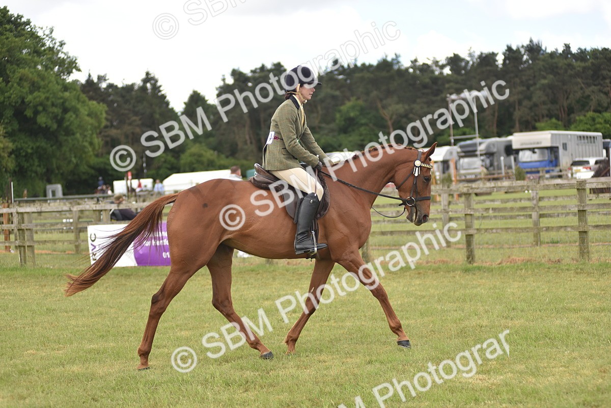 SBM_15149 - Class 113-114 - Retraining of Racehorses Ridden