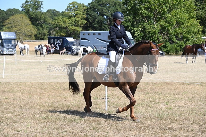 WJ6_9182 - Championship Classes 33-38