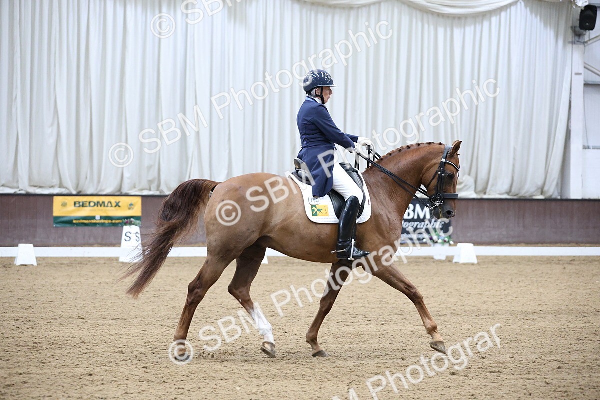 SBM_004742 - Class 9 - FEI Inter 1 Gold - 16.59-17.47