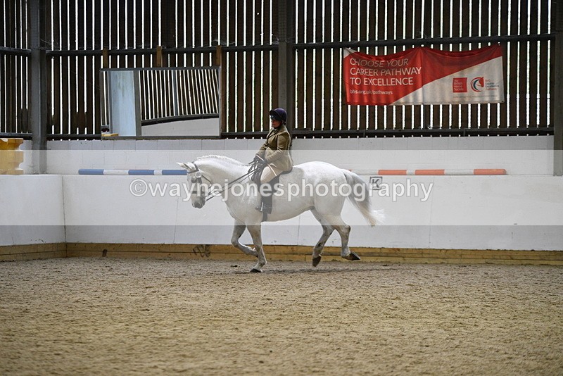 WJ5_9042 - Class 15 Ridden Show Horse