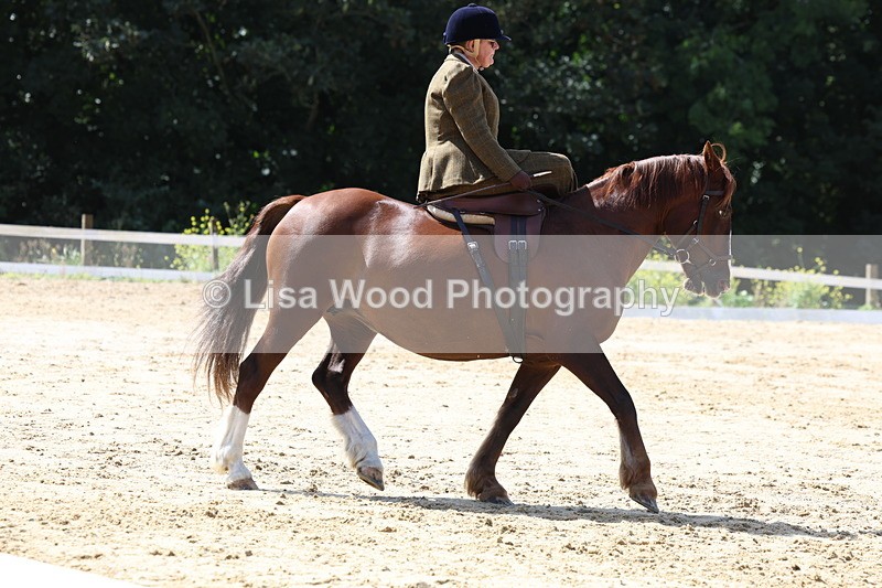 3E7A3566 - Class 7:  Preliminary Music