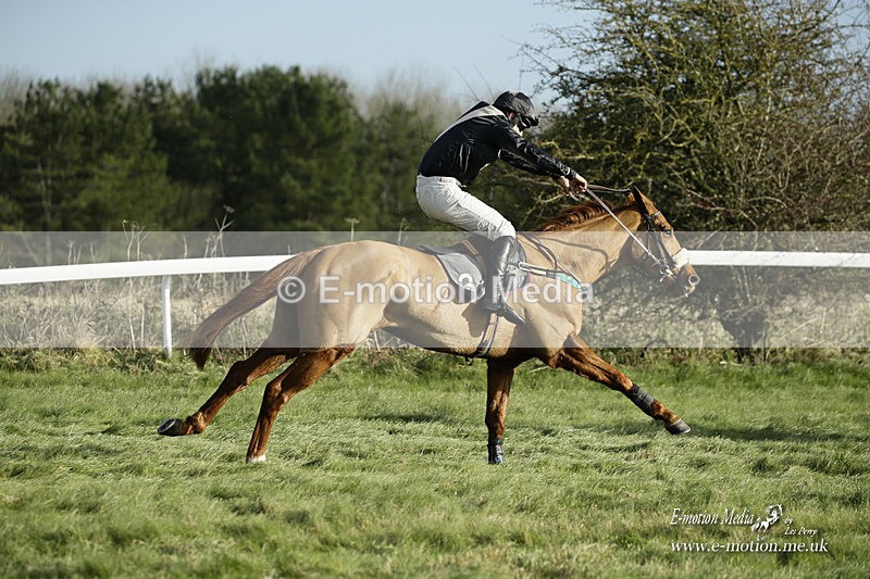 PtP 281121 0160 - Hursley Hambledon Point-to-Point Larkhill 28/11/21