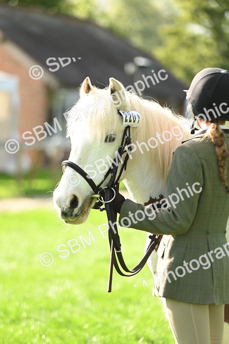 SBM_15892 - S1 - TSR in Hand Horse & Pony Showing