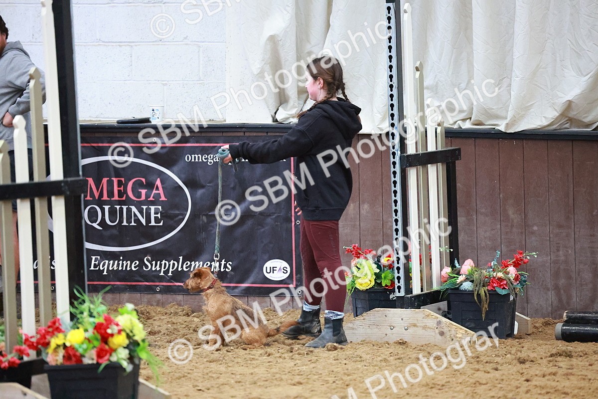 SBM_001538 - Class 3 - Horse & Hound (60cm)