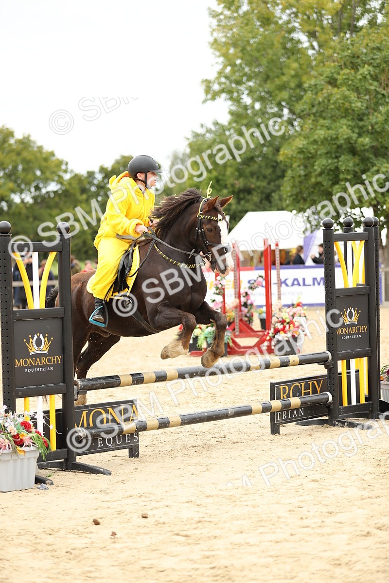 SBM_65862 - J48 - Pairs Jumping Open 70cm & 85cm