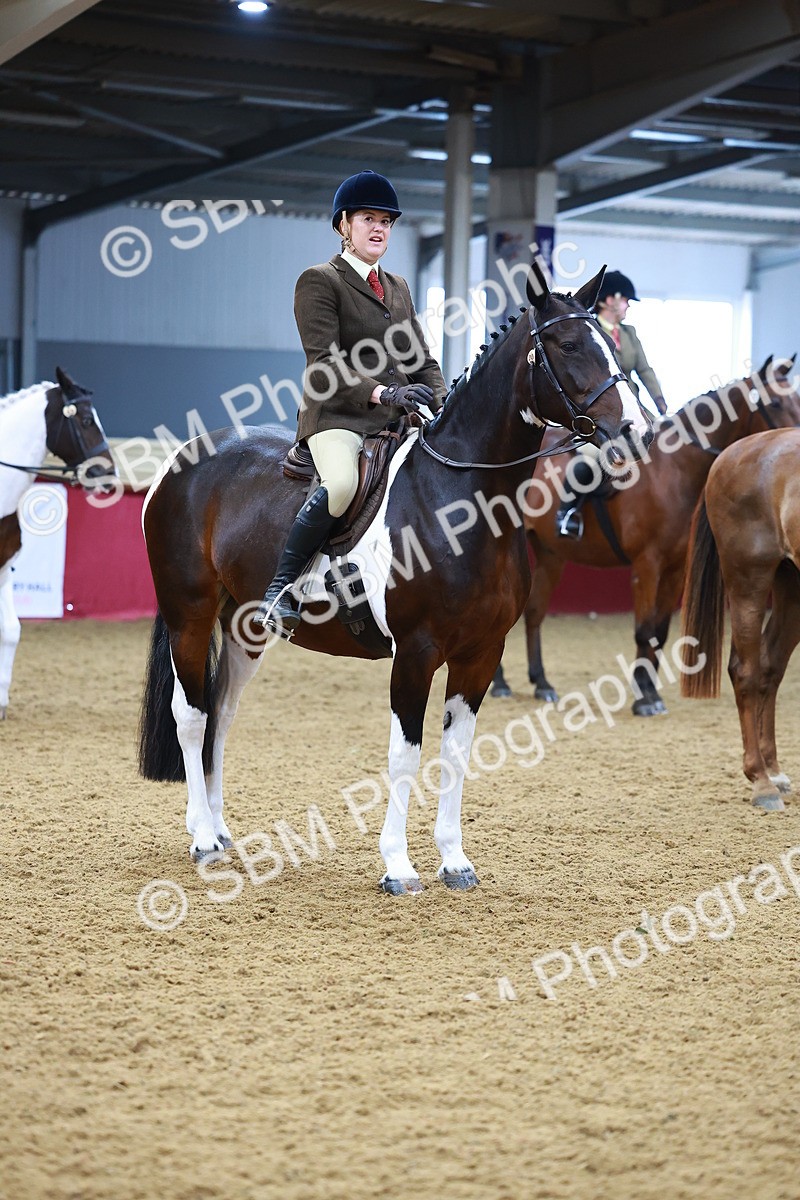 SBM_09832 - Class 102 - HOYS Veteran Qualifier - Ridden Veteran