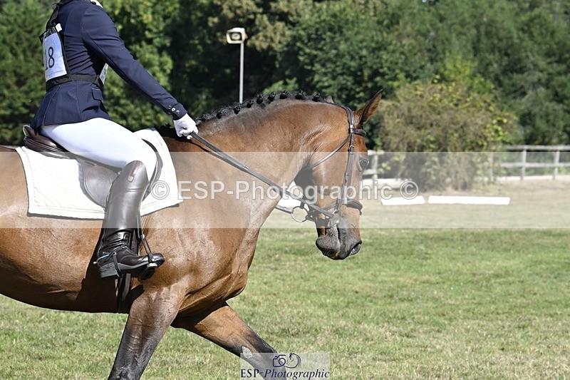 250822A-103241-20290 - DR 10.00 to 11.00