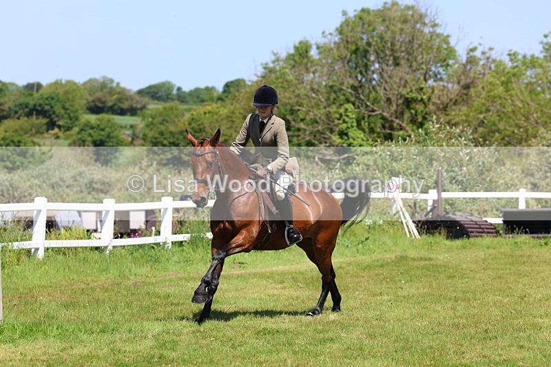 3E7A7301 - Class 30: Novice Working Hunter