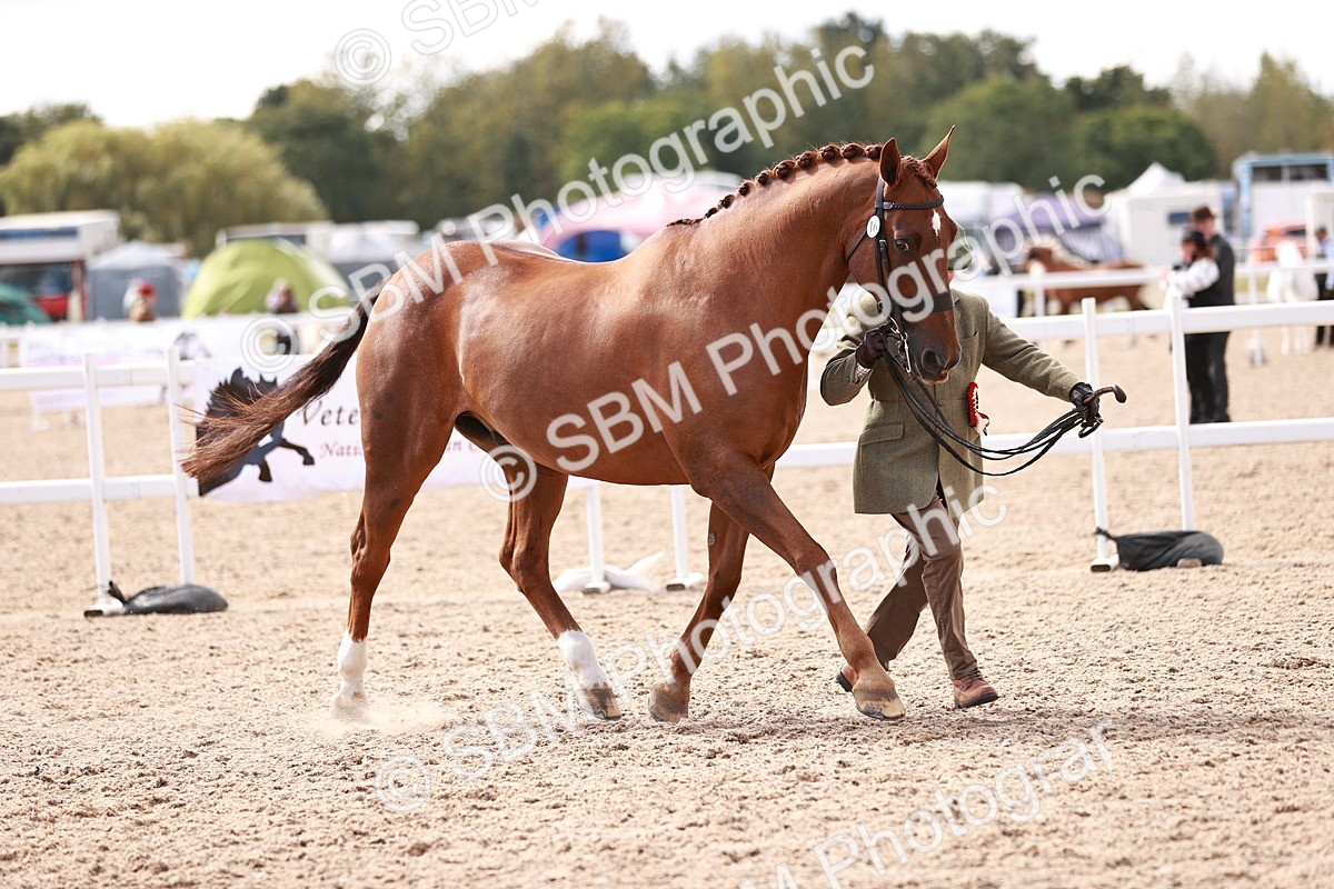 SBM_13375 - class 406 - IH Hunter