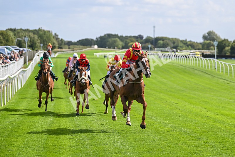 100924-Race 1-The Dancing Poet-9878 - Race 1