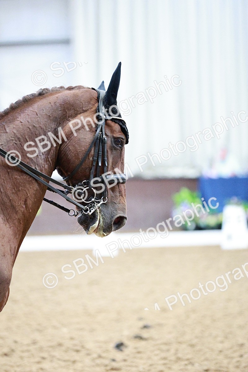 SBM_006654 - Class 16 - Advanced Medium 5 - 16.02-17.22