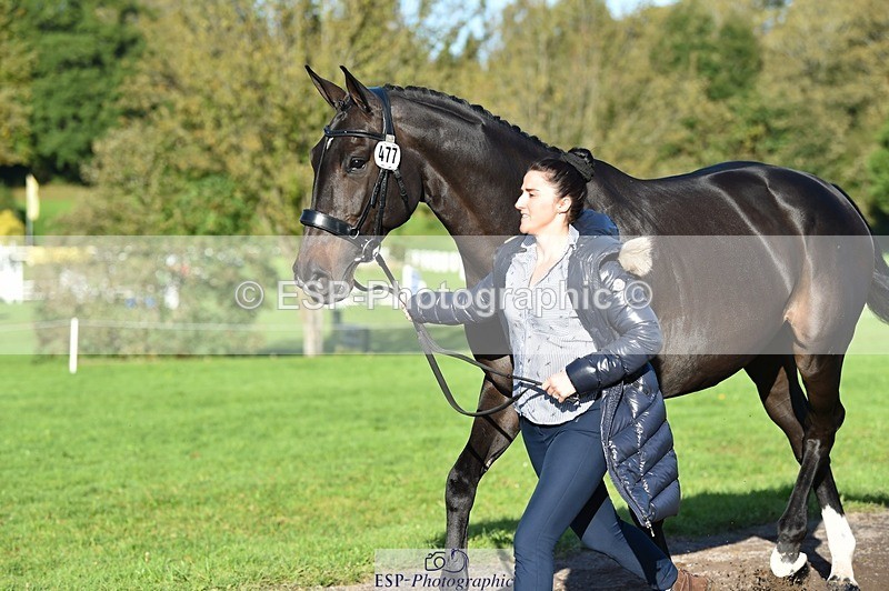 231022-103112-22542 - 477-NPS.KLASSEY-Elizabeth.Jones-TrotUp+SJ