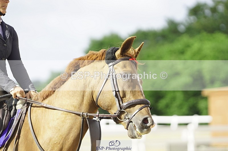 230729A-093428-04349 - Cls 20 British Novice & 90cm Open