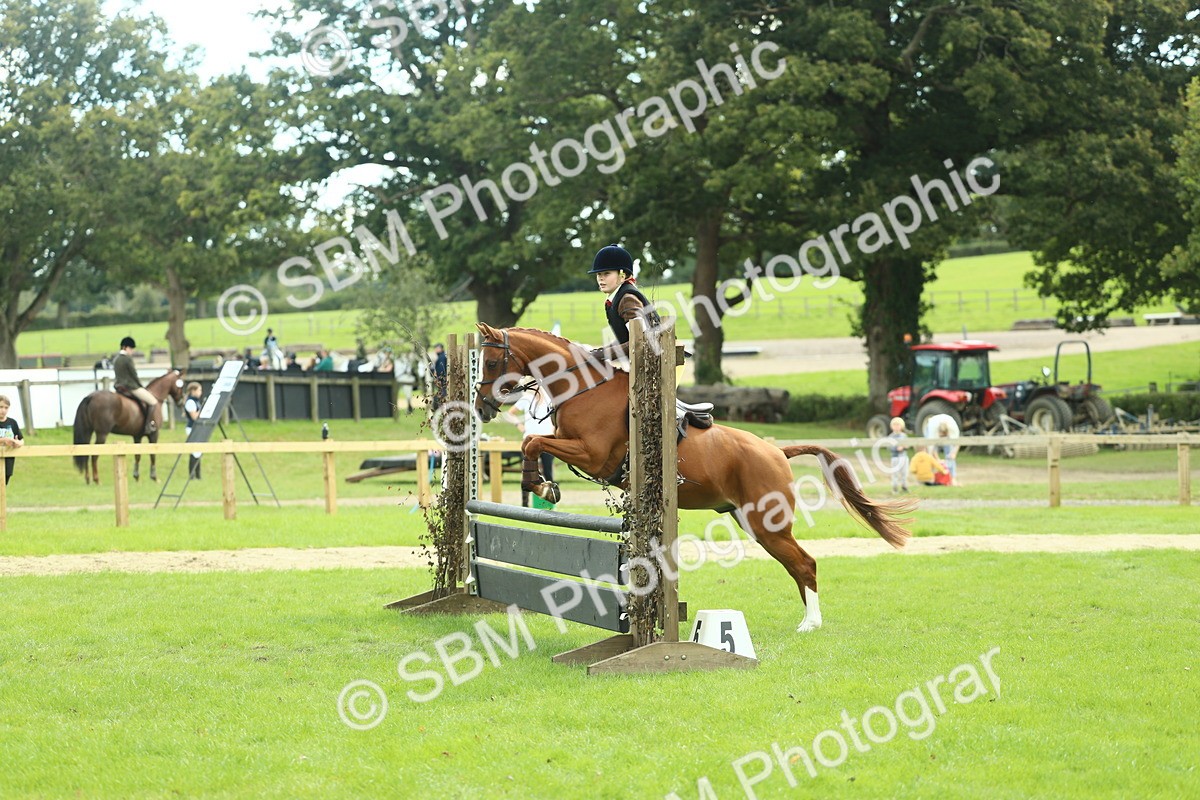 SBM_44640 - S31 - Working Hunter Pony