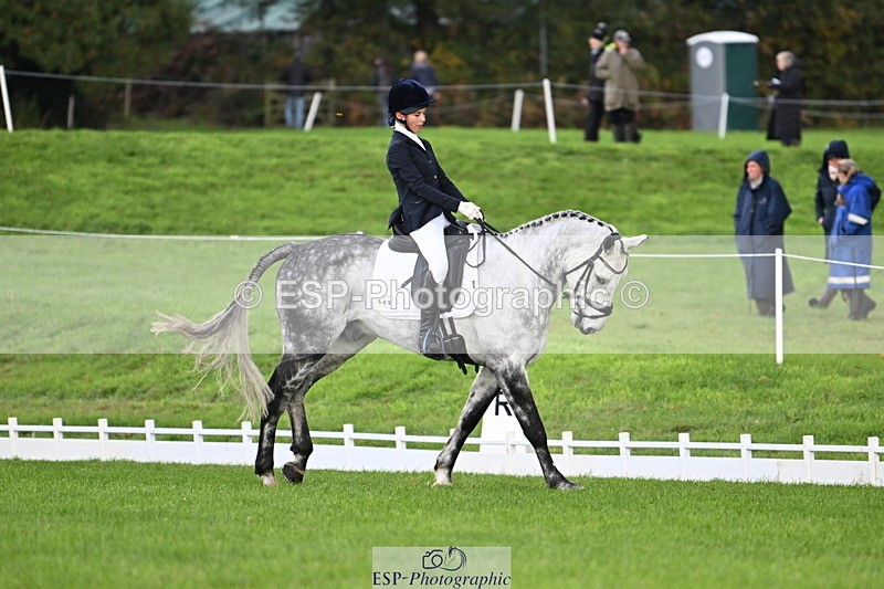 251023A-104750-02608 - G-509-Millie.Bloomfield