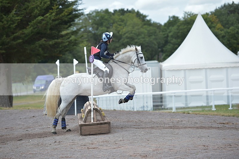 NGP_3386 - XC Time 11:59 to 12:15