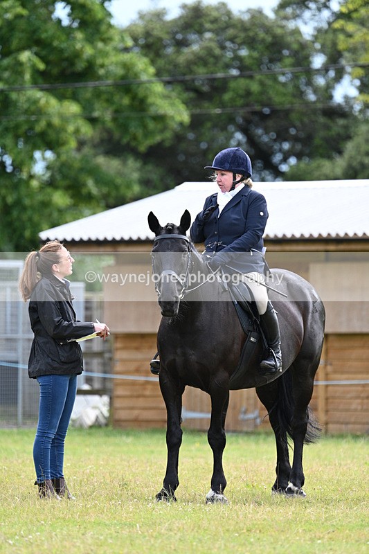 WJ7_8522 - Class 7  Riding Club Show Horse
