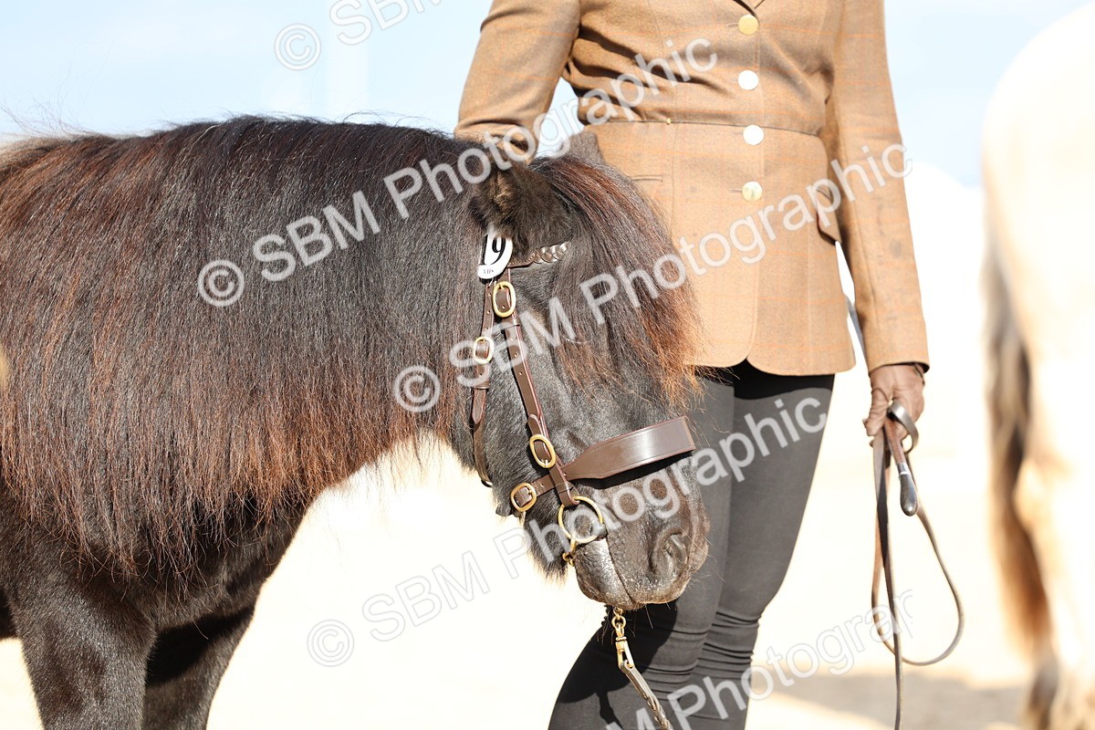 SBM_18772
