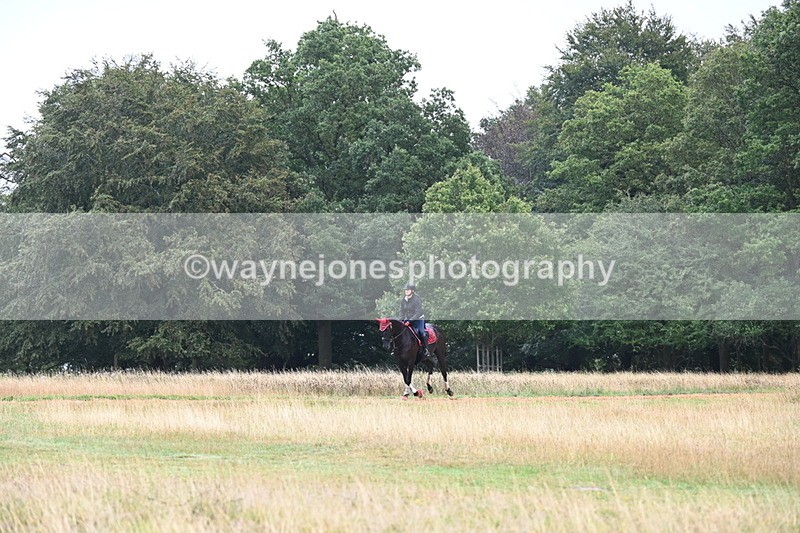 DSC_1677 - Time at Statue 12:13 to 12:32