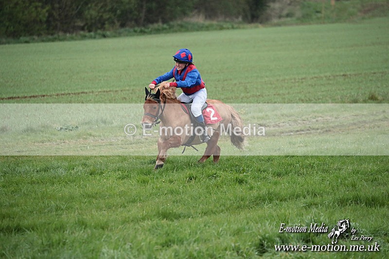 SHETPR 210425 94 - Shetland Ponies Paxford Races 21/04/25
