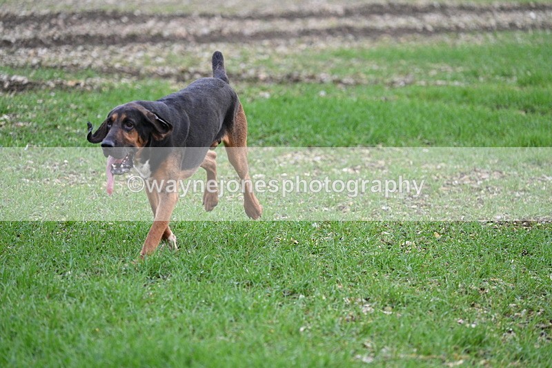 WJ7_0196 - Camera 1 & Last fence