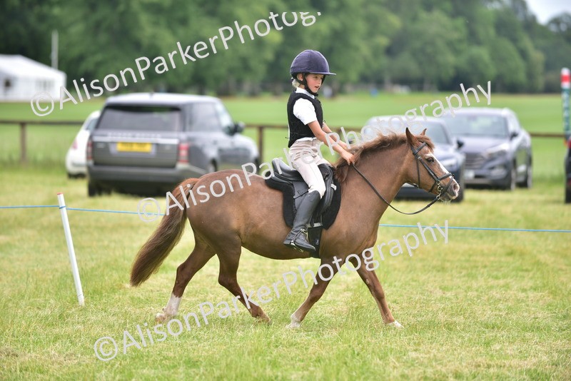 20260614-2684 - Class 13 - Pony Club Pony