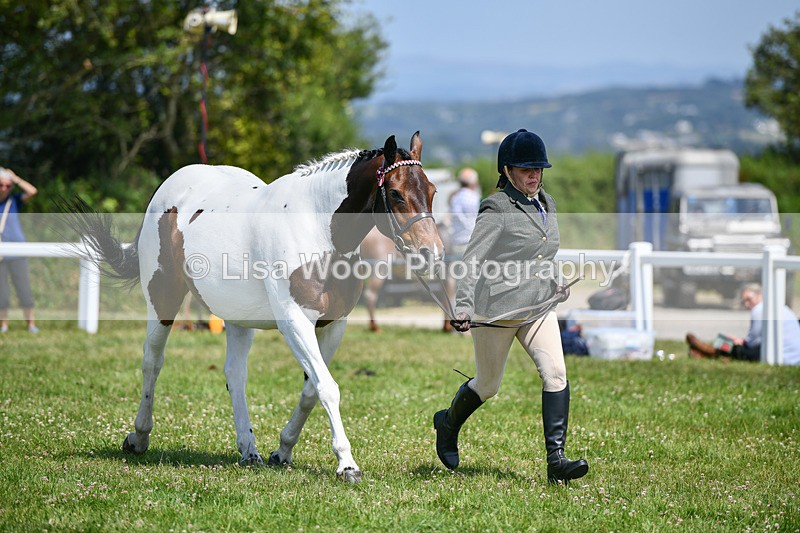 DSC_7867 - Class 65: Coloured Horse 4yrs & Over